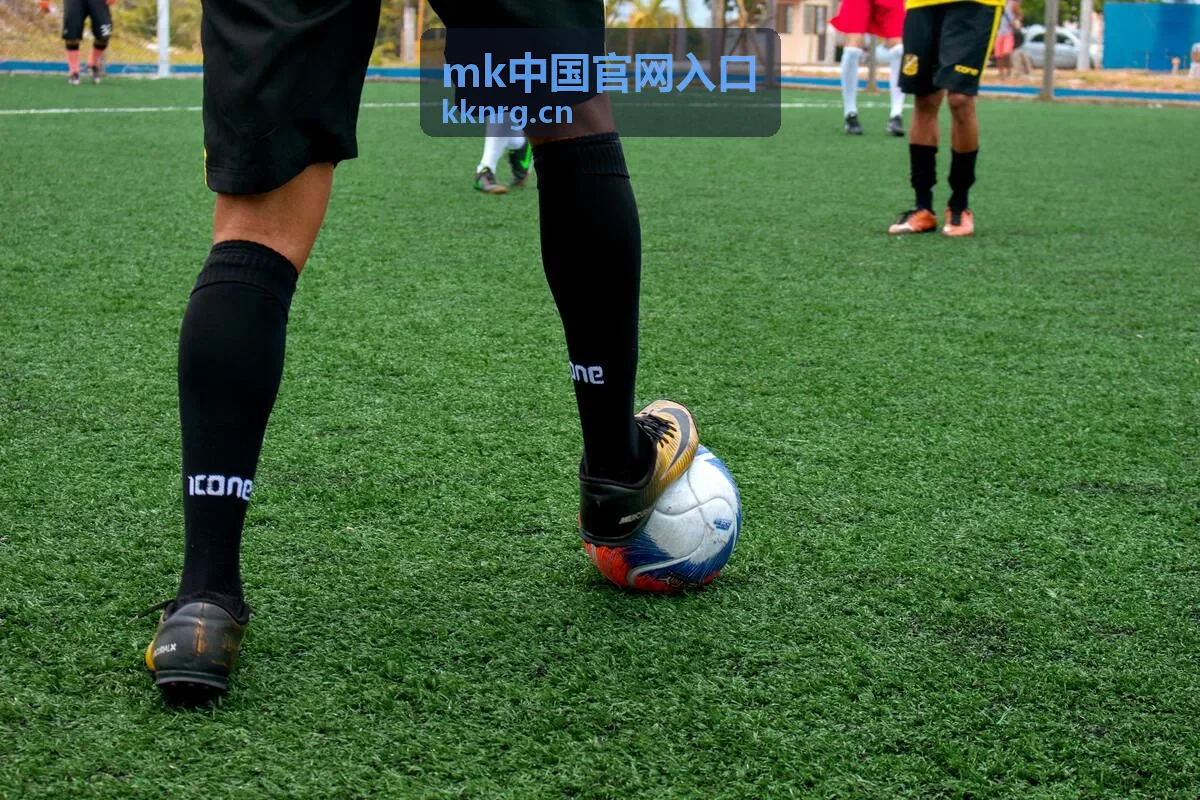 MK中国官网入口资料版本与规格核对封面