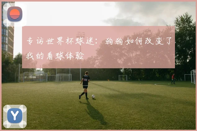 专访世界杯球迷：狗狗如何改变了我的看球体验