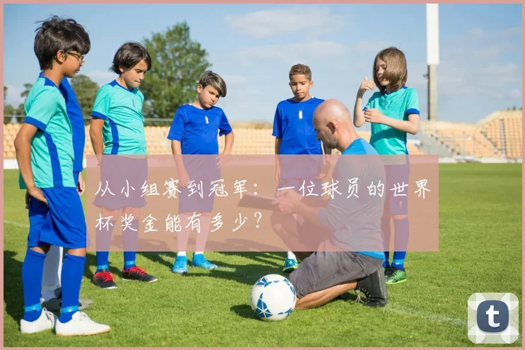 从小组赛到冠军：一位球员的世界杯奖金能有多少？