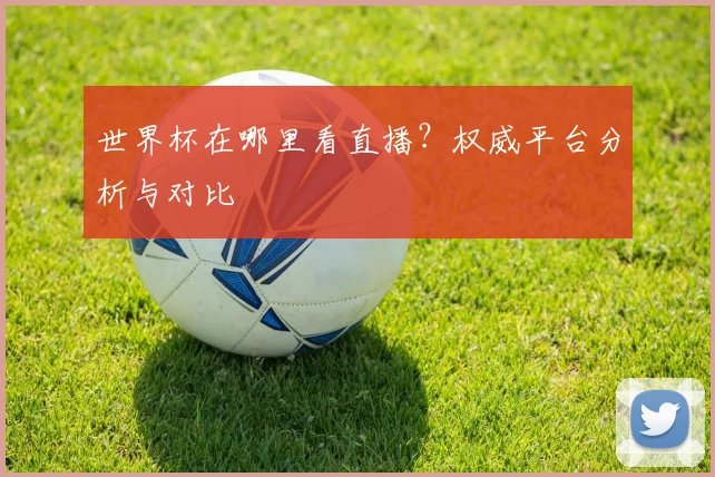 世界杯在哪里看直播?权威平台分析与对比