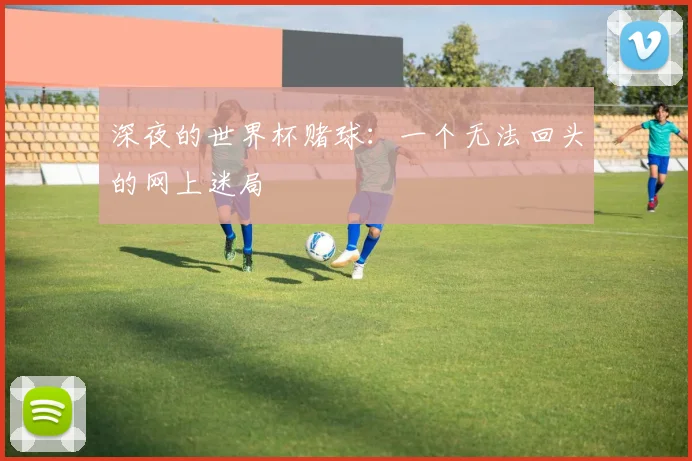 深夜的世界杯赌球:一个无法回头的网上迷局