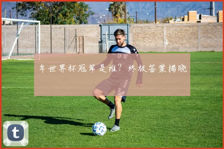 年世界杯冠军是谁?终极答案揭晓
