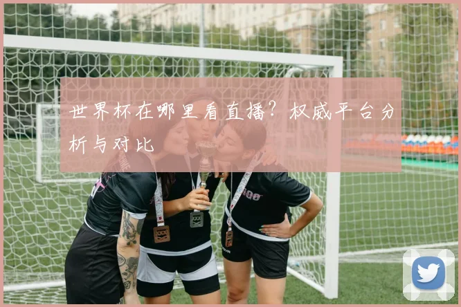 世界杯在哪里看直播？权威平台分析与对比
