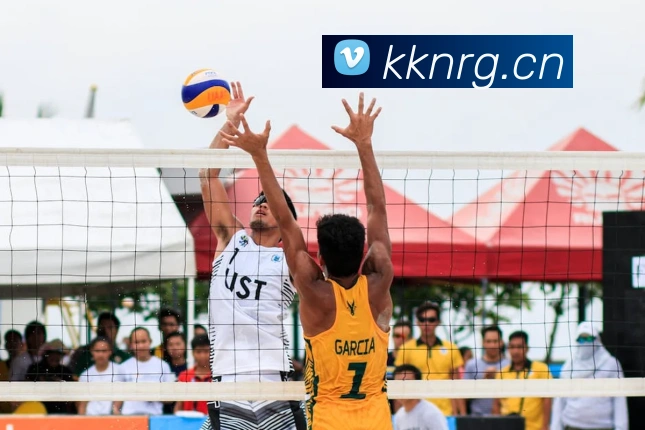 多媒体互动体验